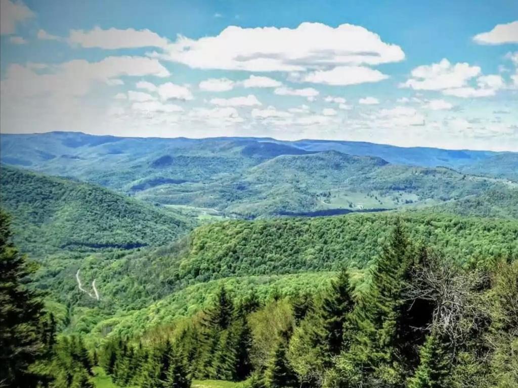 Enjoy The Long Range View, Ski In N Out Top Of The Mountain Condo Сноушу Екстер'єр фото